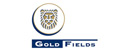 Gold Fields
